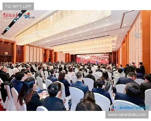 金年会的独特魅力，线上官网为您提供无限可能与机会