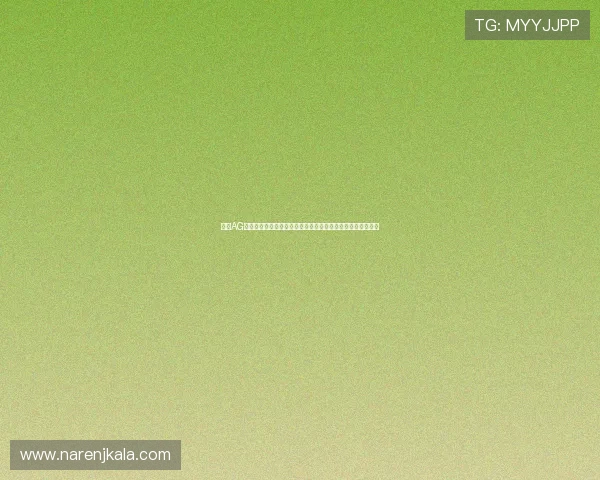 掌握AG有效投注技巧：助你在世界杯赛场中实现稳健盈利的实用策略